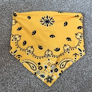 University of Iowa Bandana Crop Top